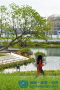 前海自貿(mào)區(qū) 創(chuàng)業(yè)夢(mèng)工廠