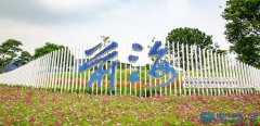 前海自貿區地鐵年內將新增兩條線路(圖)